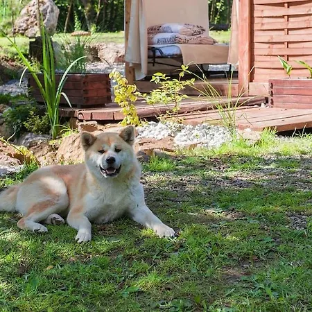 Rustikalna Chalupka Pri Jazere Alpesi faház Nemšová